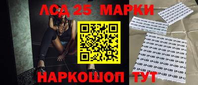 ГАЛЛЮЦИНОГЕННЫЕ ГРИБЫ Кингисепп