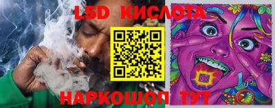 ГАЛЛЮЦИНОГЕННЫЕ ГРИБЫ Кимры