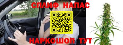 ГАЛЛЮЦИНОГЕННЫЕ ГРИБЫ Кингисепп
