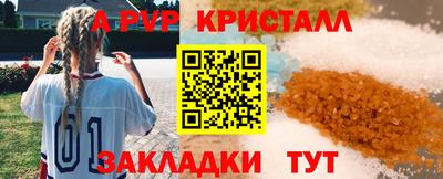 ГАЛЛЮЦИНОГЕННЫЕ ГРИБЫ Кингисепп