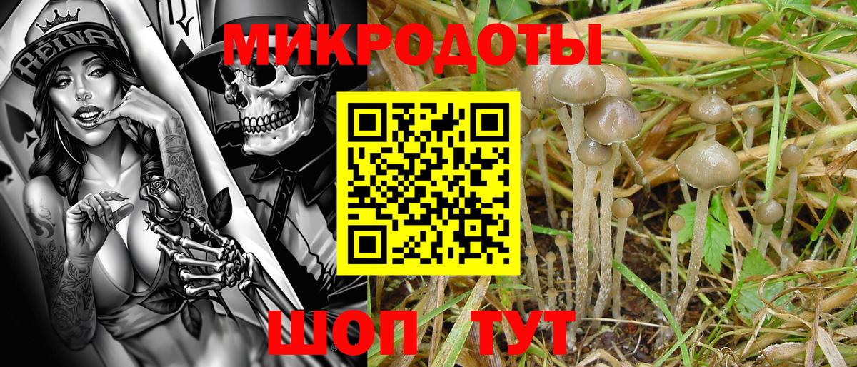 Галлюциногенные грибы мицелий Изобильный
