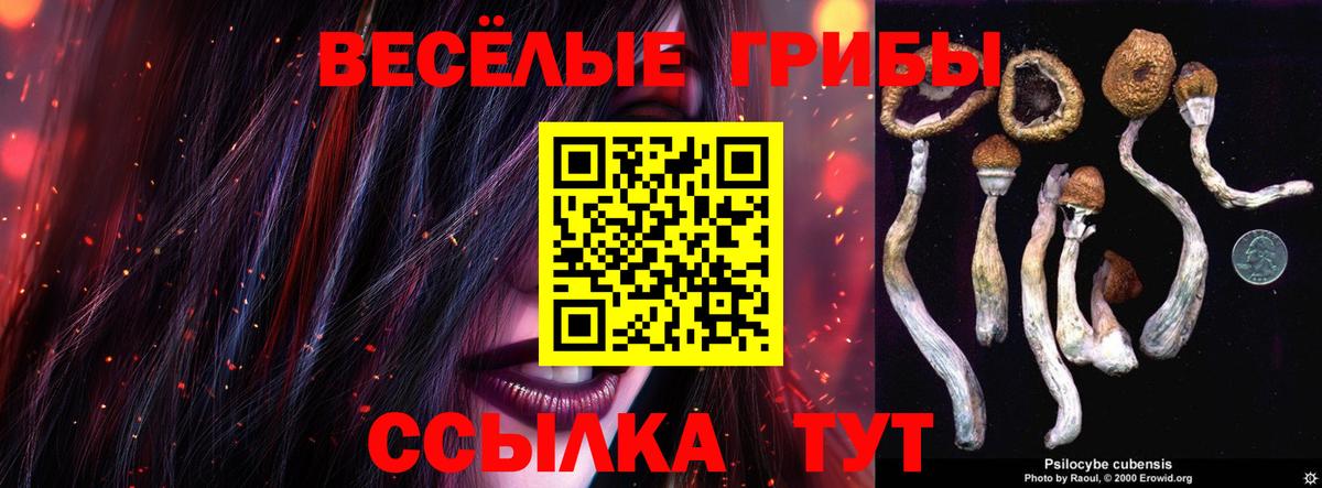 Псилоцибиновые грибы прущие грибы  закладка  Изобильный  Вход с VPN 