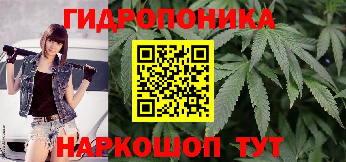 Конопля ГИДРОПОН  МАРИХУАНА AK-47  Изобильный  Вход с VPN 